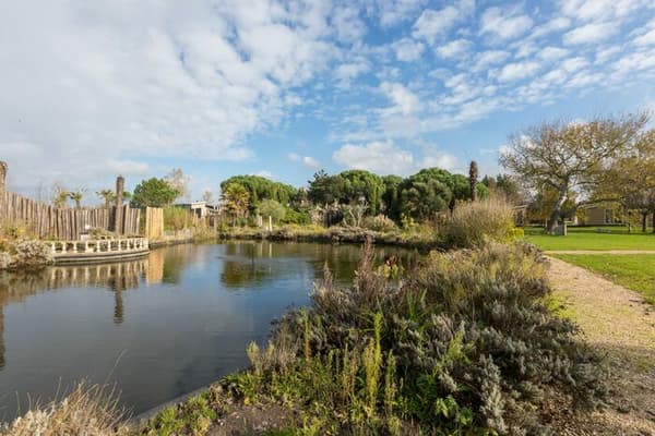 Vakantiepark Fort den Haak — Vrouwenpolder, foto 4