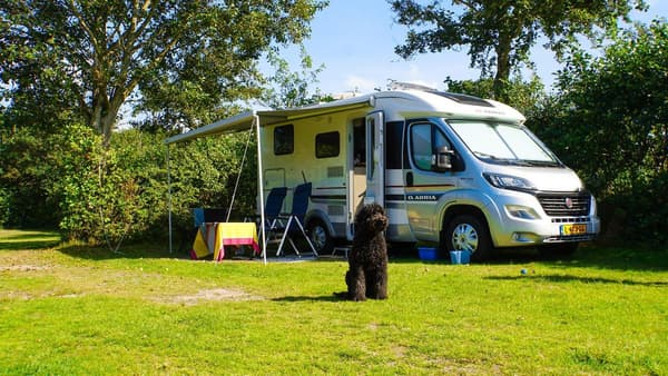 Camping Sint Maartens Zee — Sint Maartenszee, foto 4
