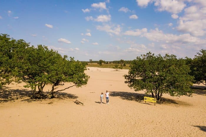 Sfeerbeeld van Duinhoeve