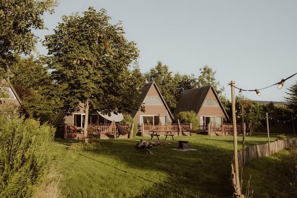 t Wylde Pad — Twijzelerheide, foto 3