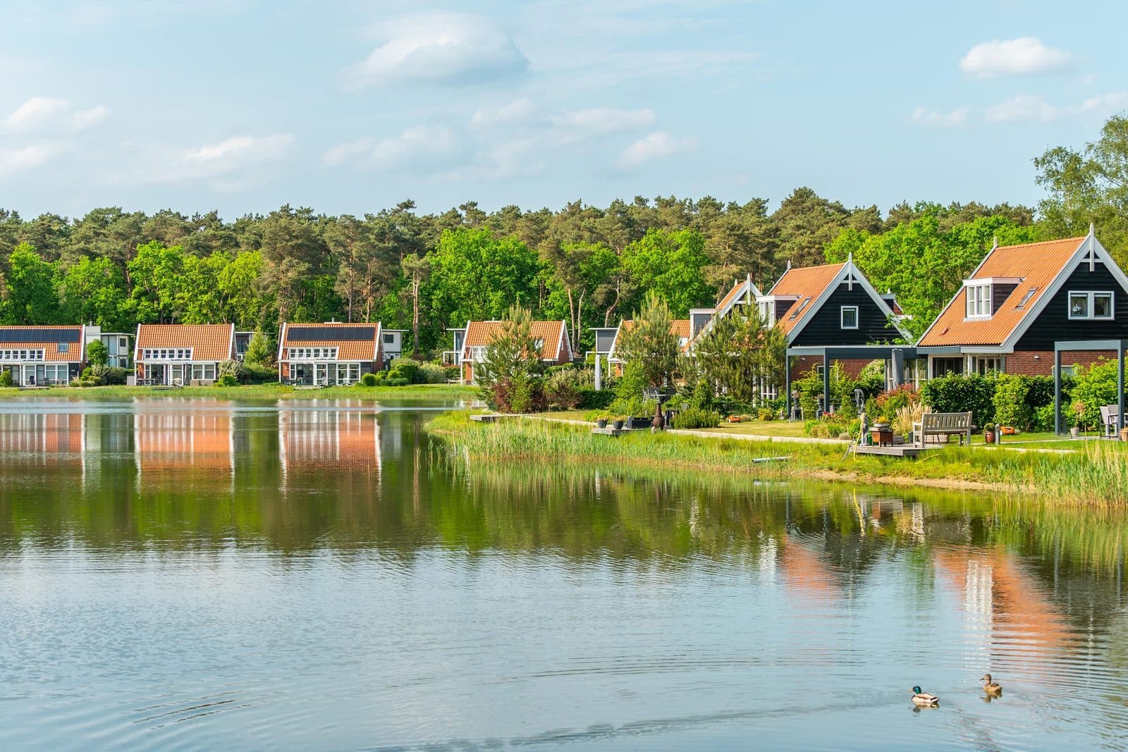 Sfeerbeeld van EuroParcs De Zanding