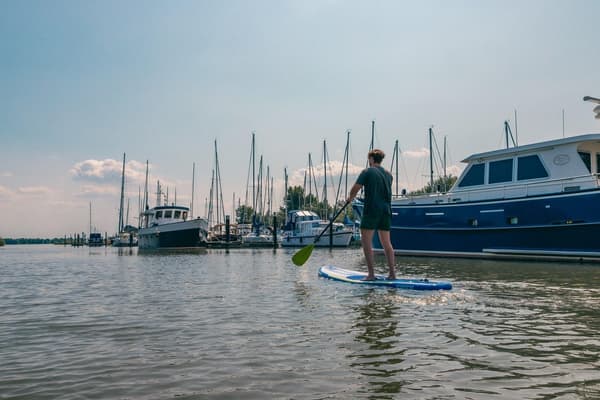 EuroParcs De Biesbosch — Dordrecht, foto 4