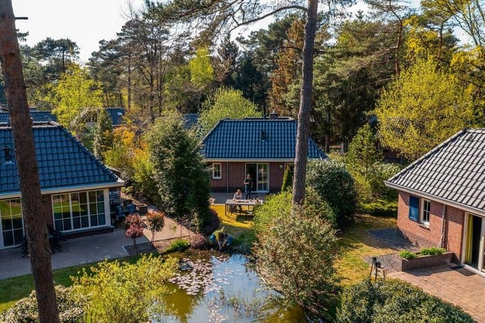 Veluwse bossen rond EuroParcs Beekbergen
