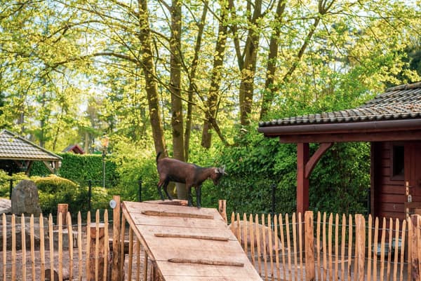 EuroParcs De Achterhoek — Lochem, foto 4