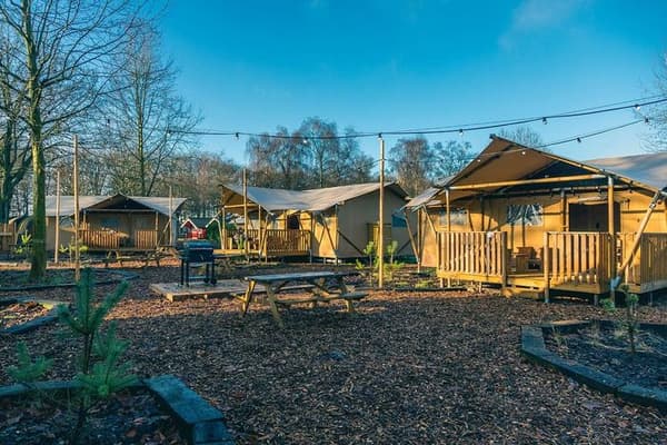 EuroParcs Het Amsterdamse Bos — Amstelveen, foto 2