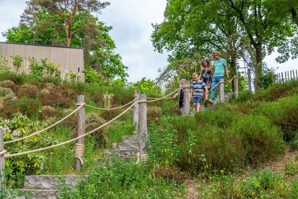 EuroParcs Maasduinen — Belfeld, foto 4