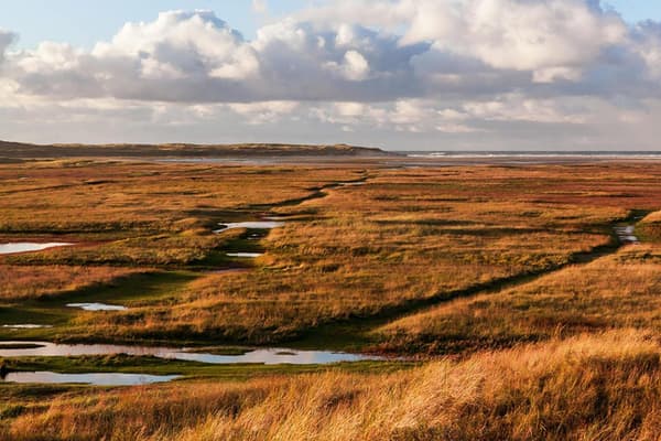 EuroParcs Texel — De Cocksdorp, foto 5