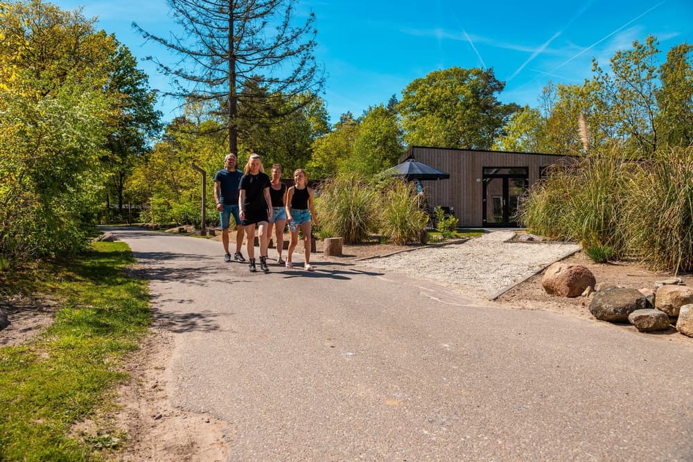 Vakantiepark De Wiltzangh — Ruinen, foto 1