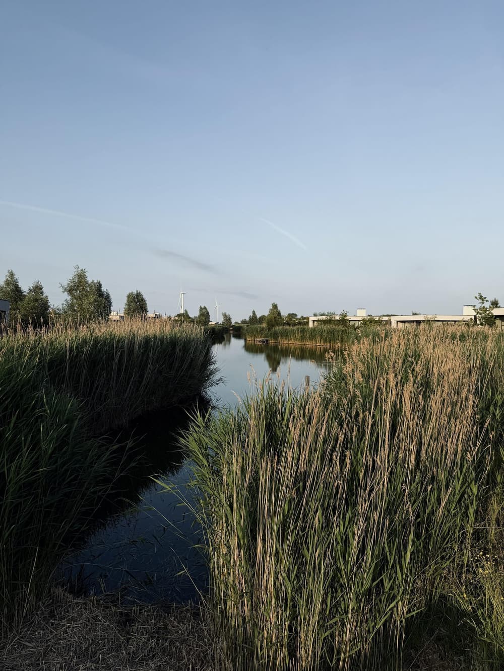 Zandvillas — Kamperland, foto 1