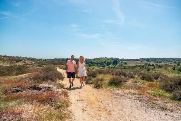 EuroParcs Schoneveld — Breskens, foto 3