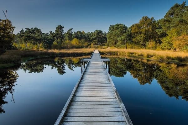 EuroParcs Maasduinen — Belfeld, foto 5