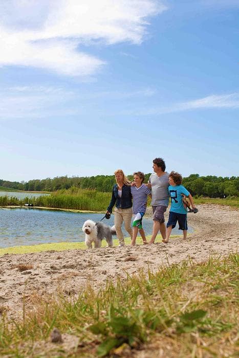 EuroParcs Schoneveld — Breskens, foto 4