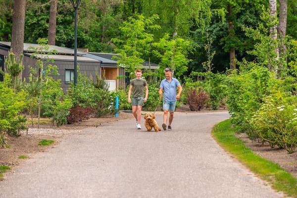 EuroParcs Hooge Veluwe — Arnhem, foto 4
