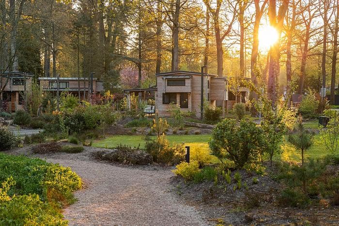 Sfeerbeeld van EuroParcs De Utrechtse Heuvelrug