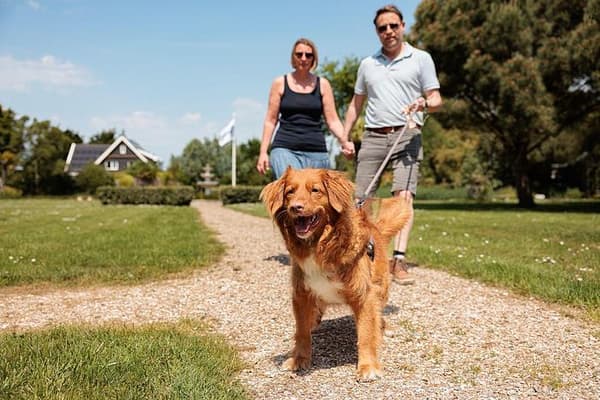 Vakantiepark Fort den Haak — Vrouwenpolder, foto 2