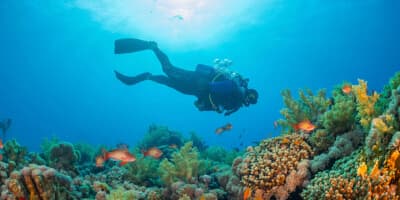 Bahia Apartments & Diving — Lagun, foto 5